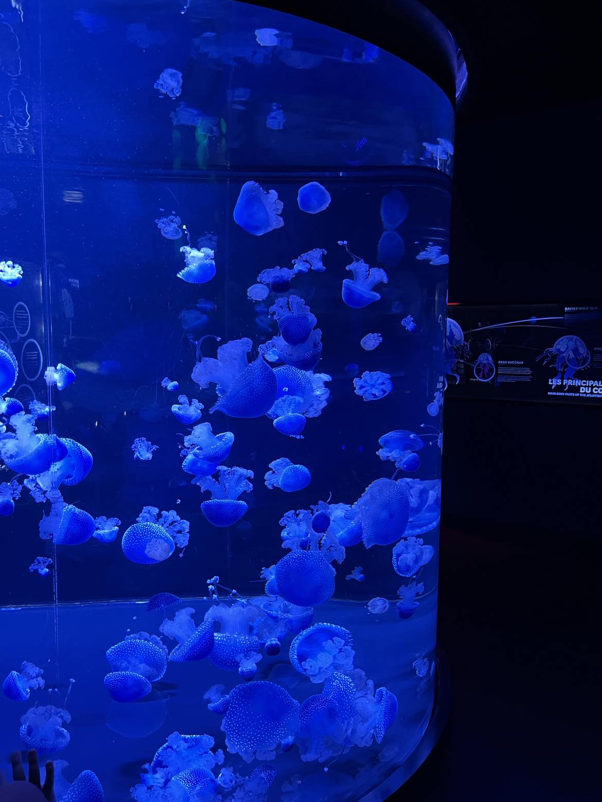 What to do in Quebec City on rainy 